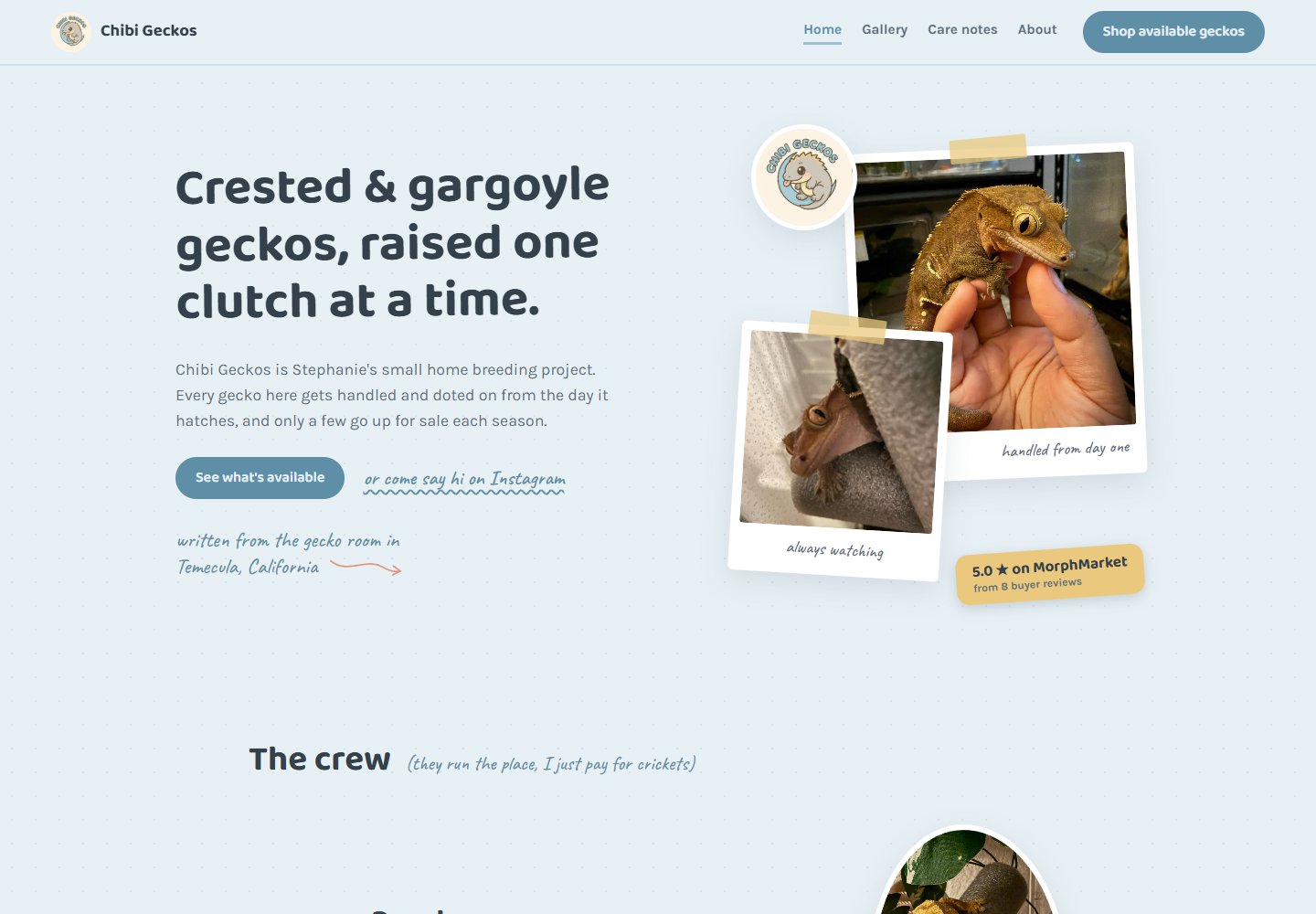 Chibi Geckos crested and gargoyle gecko breeder website